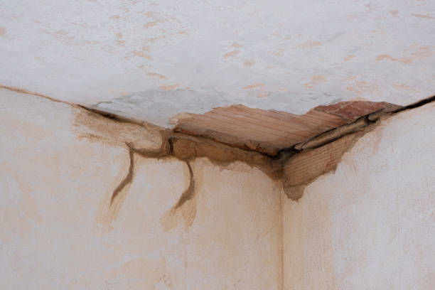 Best 24-hour water damage restoration  in Metzger, OR