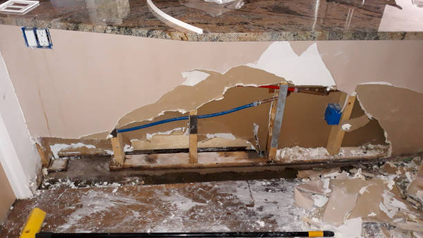 Best Water damage restoration experts  in Metzger, OR