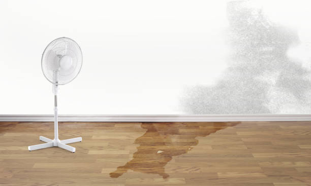 Trusted OR Water damage restoration Experts