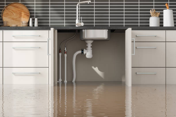 Best Mold removal after water damage  in Metzger, OR