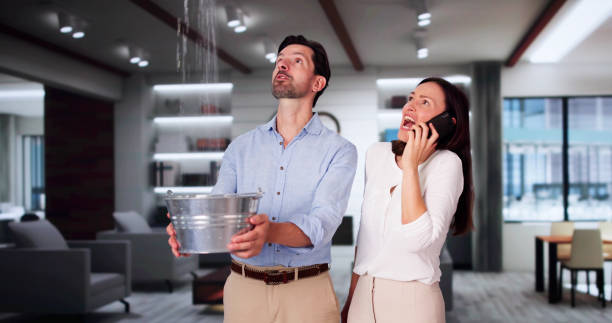 Best Local water damage restoration  in Metzger, OR